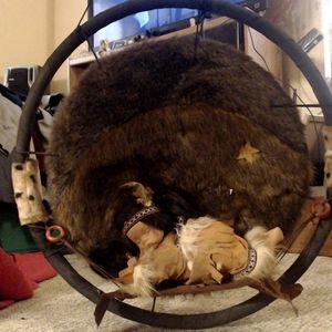 no room in new house